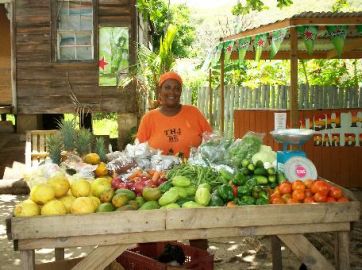 Marktfrau auf Bequia