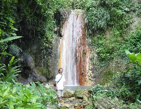 Im Regenwald von St. Lucia